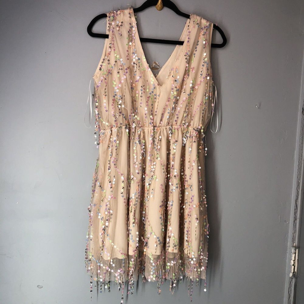 Southern Fried Chics Mini Dress Womens XL  Beige Shimmy For Me Mesh Sequins - Picture 5 of 16
